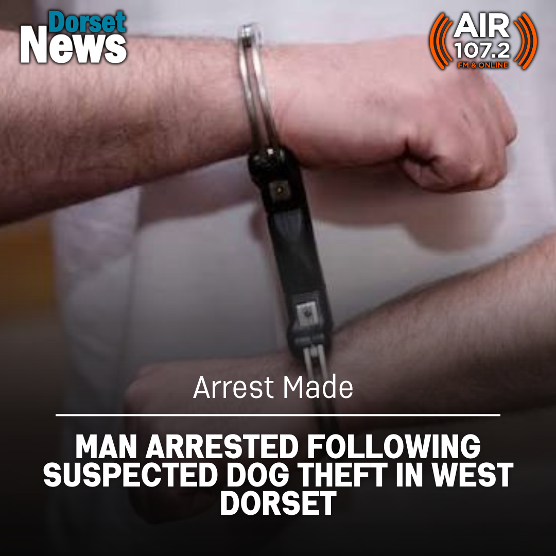 White Minimalist Economics Headline News Instagram Post(16)