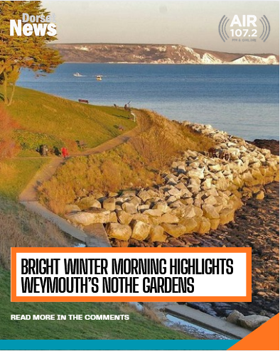 Bright Winter Morning Highlights Weymouth’s Nothe Gardens
